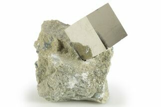 Natural Pyrite Cube In Rock - Navajun, Spain #304011