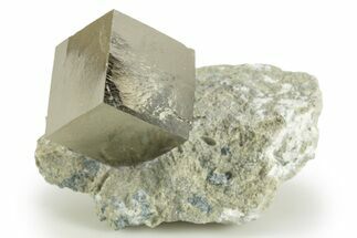 Natural Pyrite Cube In Rock - Navajun, Spain #304016