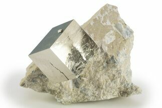 Natural Pyrite Cube In Rock - Navajun, Spain #304021