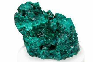 Lustrous Dioptase Crystal Cluster - Congo #304295