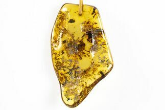 Polished Chiapas Amber ( g) Necklace - Mexico #304358