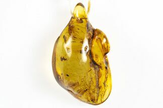 Polished Chiapas Amber ( g) Necklace - Mexico #304391