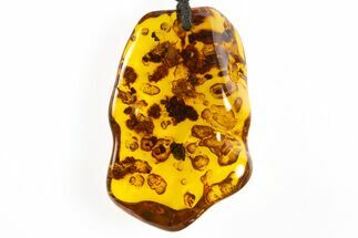 Polished Chiapas Amber ( g) Necklace - Mexico #304401
