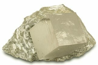 Natural Pyrite Cube In Rock - Navajun, Spain #304053