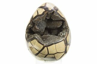 Septarian Dragon Egg Geode - Black Crystals #304617