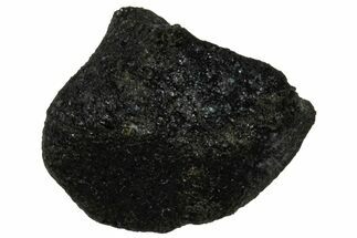 Ait Saoun EH/EH Chondrite Meteorite ( g) - Fresh Fall! #304190