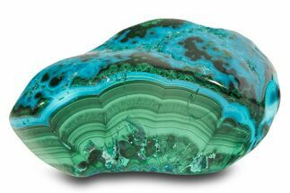 Vibrant Polished Malachite with Chrysocolla - DR Congo #305194