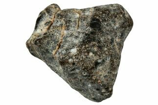 Lunar Meteorite ( g) - NWA #303978