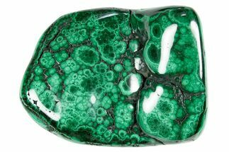 Flowery Polished Malachite Specimen - DR Congo #305229