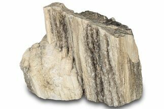 Petrified Wood Section with Sparkling Quartz - Arizona #305406