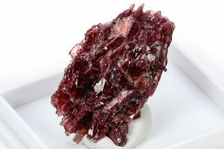 Lustrous Red Alurgite Crystal Cluster - South Africa #305481