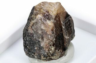 Gemmy Cassiterite Crystal - Rwanda #305627