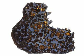 Polished Sericho Pallasite Meteorite ( g) Slice - Kenya #305726