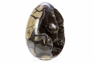 Septarian Dragon Egg Geode - Black Crystals #305800