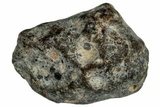 Lunar Meteorite ( g) - NWA #304882
