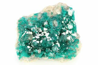 Sparkling Dioptase Crystal on Quartz - Sanda, Congo #306098