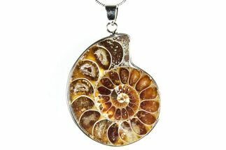 Fossil Ammonite Pendant - Million Years Old #306503