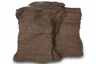 Permineralized Wood Covered In Sparkling Quartz - Germany #306983