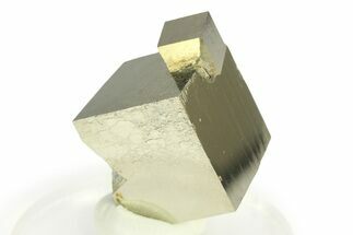 Shiny, Natural Pyrite Cube Cluster - Navajun, Spain #307126