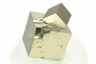 Shiny, Natural Pyrite Cube Cluster - Navajun, Spain #307137