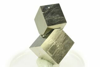 Shiny, Natural Pyrite Cube Cluster - Navajun, Spain #307139