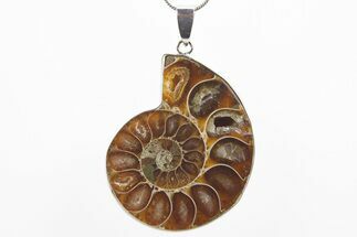 Fossil Ammonite Pendant - Million Years Old #306428