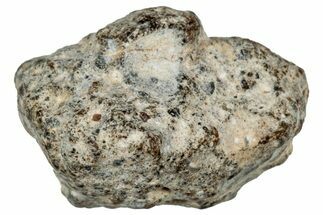 Lunar Meteorite ( g) - NWA #304837