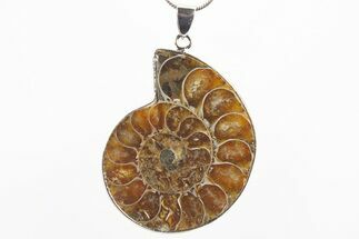 Fossil Ammonite Pendant - Million Years Old #306386