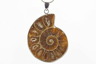 Fossil Ammonite Pendant - Million Years Old #306405