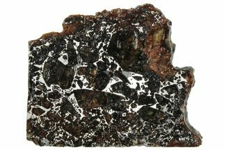 Polished Admire Pallasite Meteorite ( g) Slice - Kansas #307339