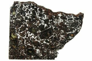Polished Admire Pallasite Meteorite ( g) Slice - Kansas #307344