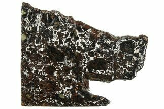 Polished Admire Pallasite Meteorite ( g) Slice - Kansas #307345