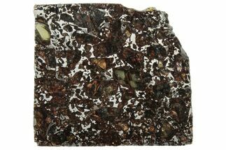 Polished Admire Pallasite Meteorite ( g) Slice - Kansas #307355