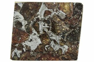 Brahin Pallasite Meteorite ( g) Slice - Belarus #307383