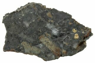 NWA Lunar Meteorite ( g) Slice #307475