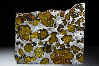 Fukang Pallasite ( g) Slice - Queen Of The Pallasites! #308274