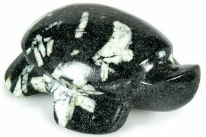 Chinese Writing Rock For Sale - FossilEra.com