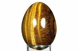 Polished Tiger's Eye Egg #308700