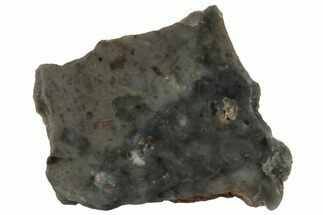 NWA Lunar Meteorite ( g) Slice #307635