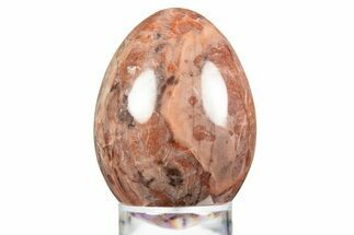 Polished Kona Dolomite (Stromatolite) Egg - Michigan #309088