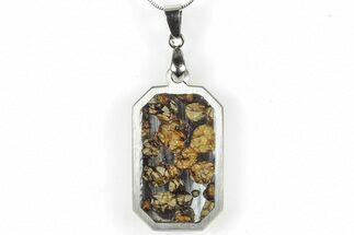 Brenham Pallasite Dog Tag Meteorite Pendant - Kansas #309163