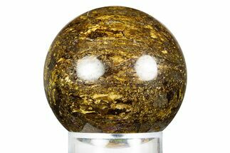 Golden Amphibolite Sphere - Western Australia #309136