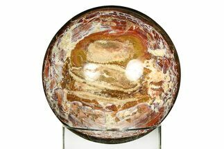 Colorful Polished Petrified Wood Sphere - Arizona #309208