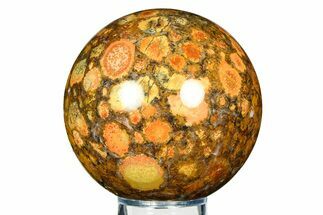 Polished Orbicular King Cobra Jasper Sphere - India #309230