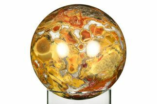 Polished Orbicular King Cobra Jasper Sphere - India #309234