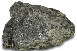 Fossil Dinosaur Bone Section - Bone Cabin Quarry, Wyoming #309259