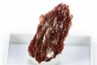 Lustrous Red Alurgite Crystal Cluster - South Africa #309602