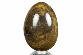 Polished Petrified Wood Egg - Australia #309047