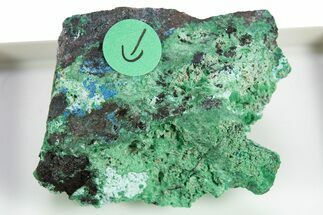 Rare Blue Buttgenbachite w/ Malachite & Cuprite - DR Congo #309642