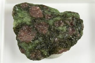 Pyrope, Forsterite, Diopside & Omphacite Association - Norway #309765